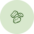 Fenugreek